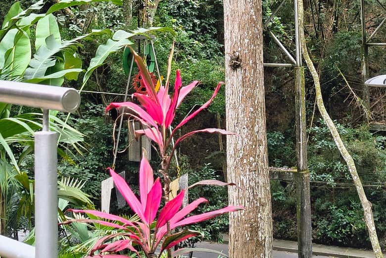 Paseando por el parque CSU de la UNAB