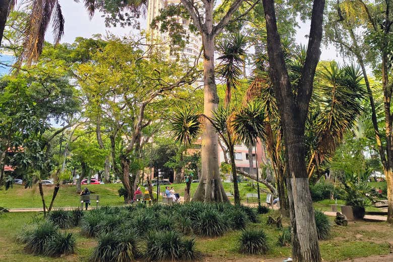 Paseando por el parque San Pío