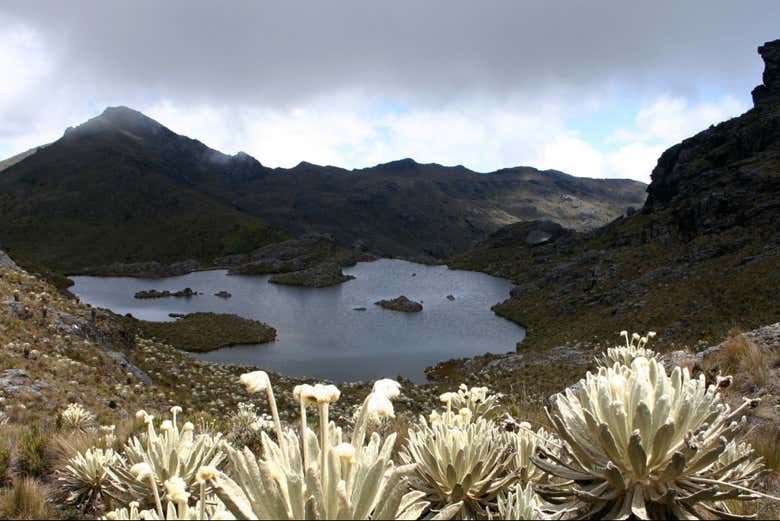 Panorámica del Páramo de Santurbán