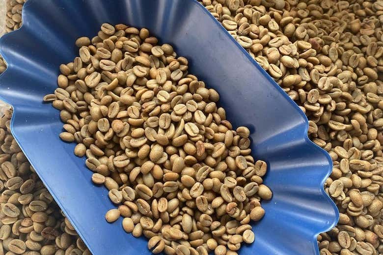 Chicchi di caffè per la tostatura