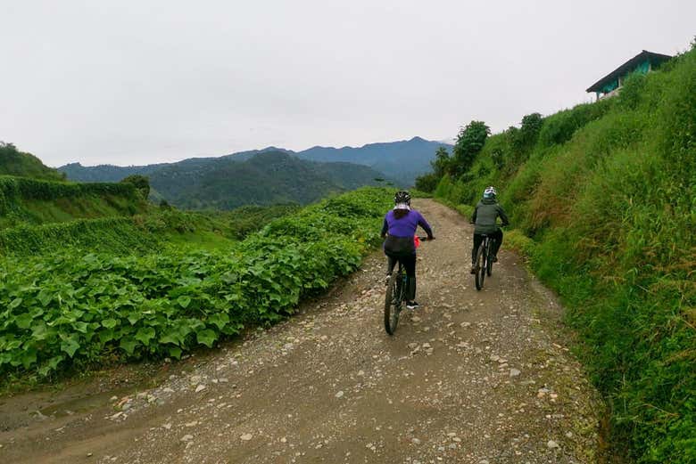 Circuit à vélo dans Calarcá