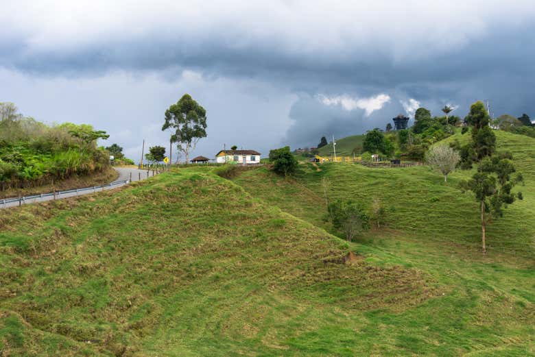 Typical landscapes of Quindío
