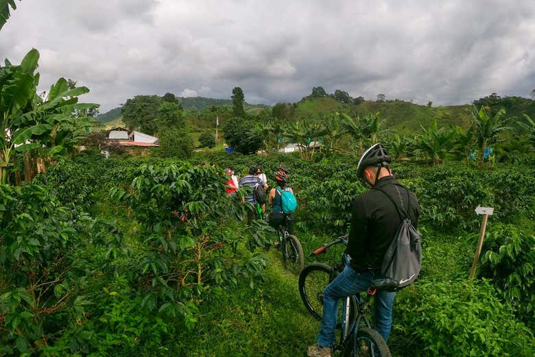 A group enjoying the activity