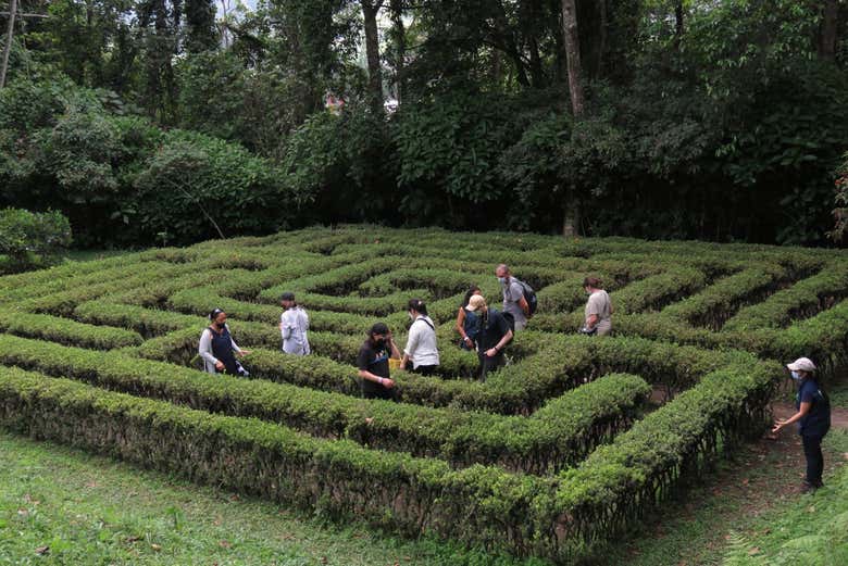 Labyrinthe