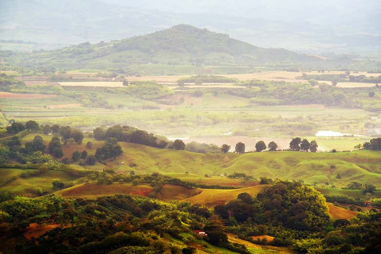 Admirando el paisaje que rodea Buenavista