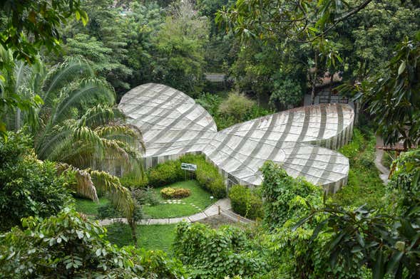 Tour por el Jardín Botánico del Quindío