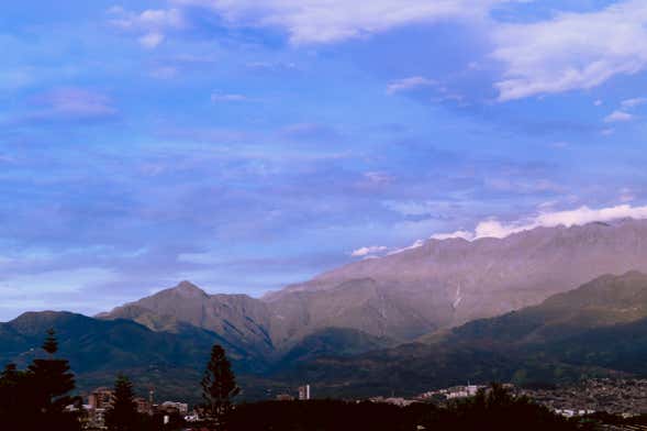 Avistamiento de aves en Cali