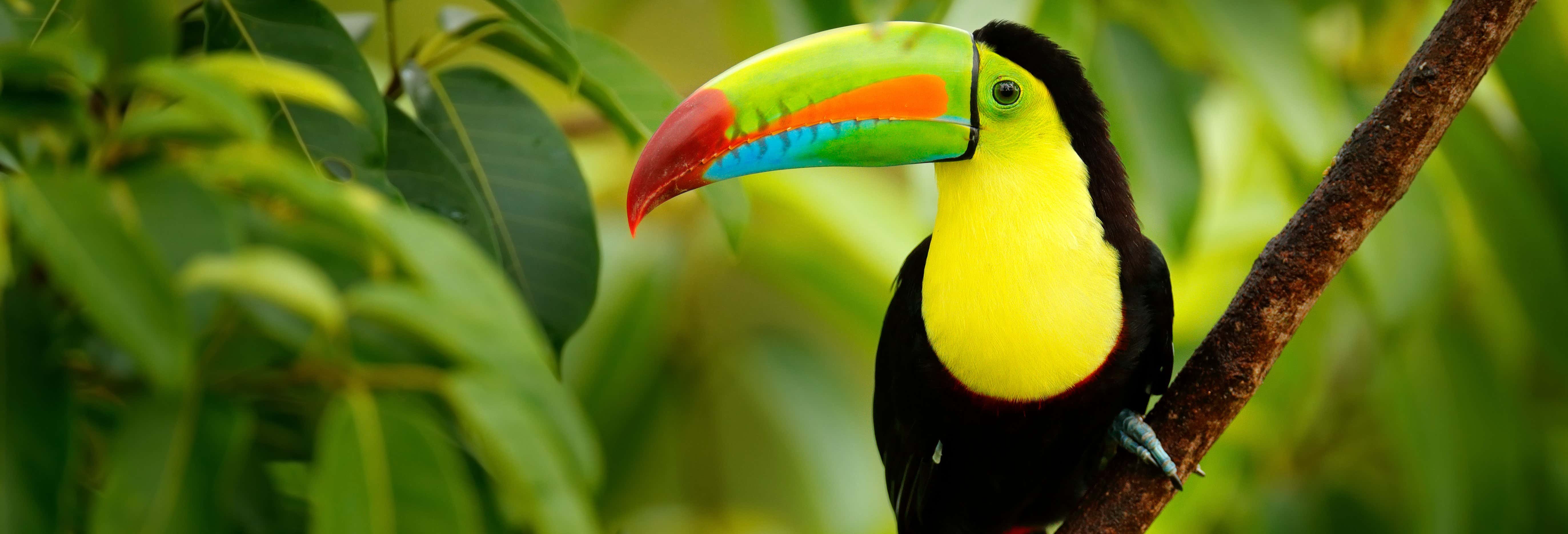 Excursiones de un día en Cali