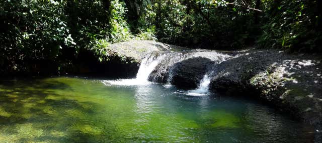 Excursión a la Reserva Natural San Cipriano