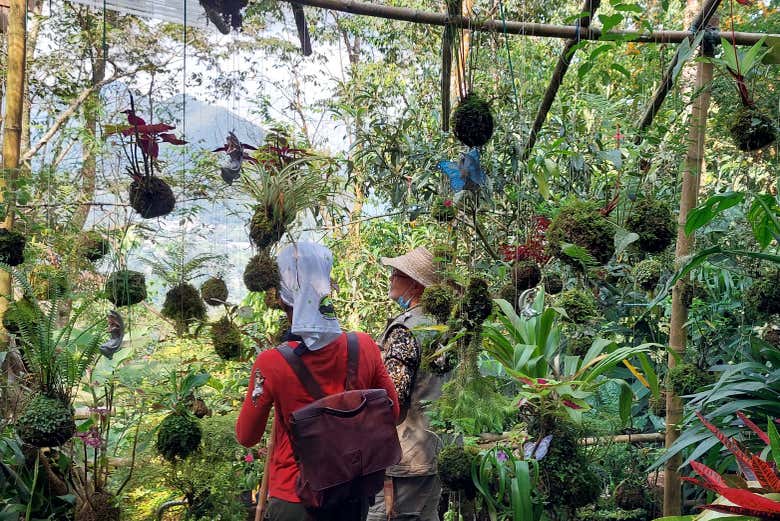Bichacue, uma fazenda transformada em santuário