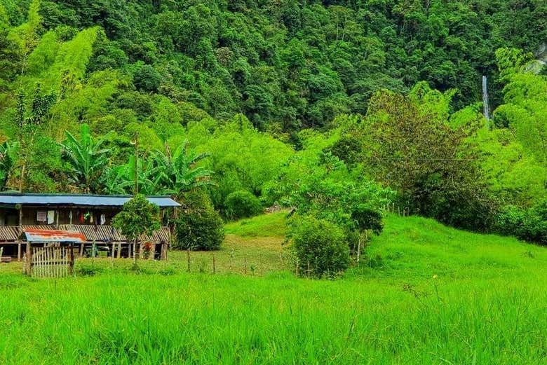 Paisajes de la cascada Manto de la Virgen