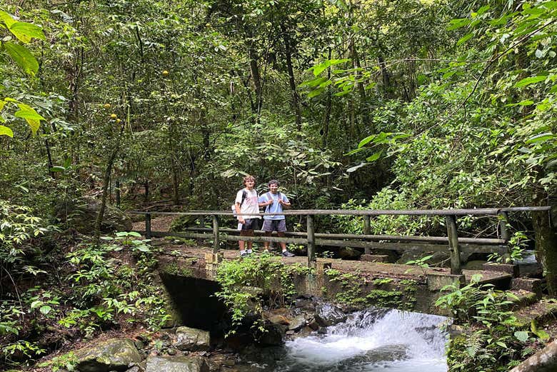 Hikers enjoying a day surrounded by tropical nature