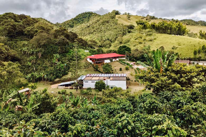 Finca cafetera en Cali