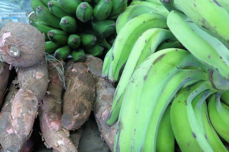 Mandioca e bananas
