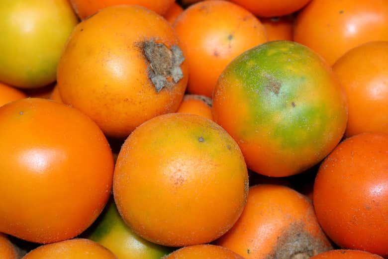 Frutta del mercato Alameda