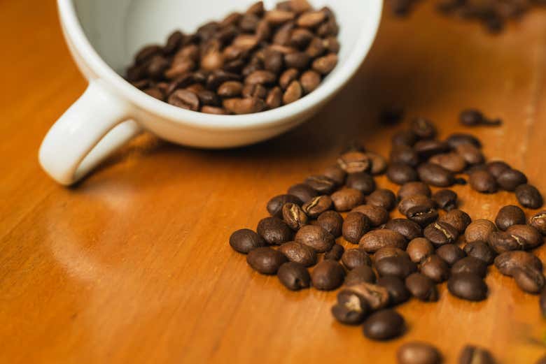 Discover all the secrets of Colombian coffee