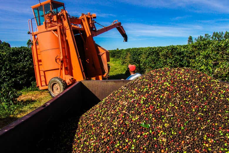 We'll take a look at the machinery used in coffee production