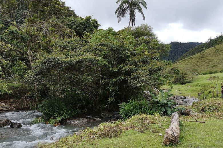 Caminaremos por un entorno natural