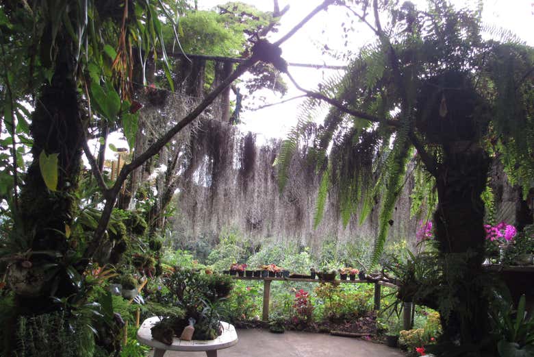 Recantos com encanto