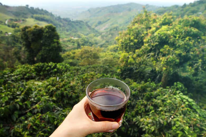 Colombian coffee is one of the best in the world