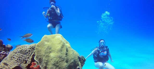 Bautismo de buceo en Cartagena