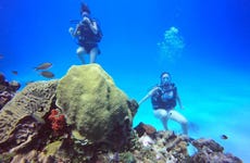 Cartagena Beginners Scuba Diving Lesson