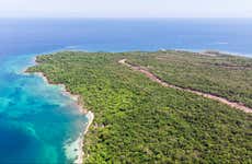 Immersione ai relitti sommersi di Barú