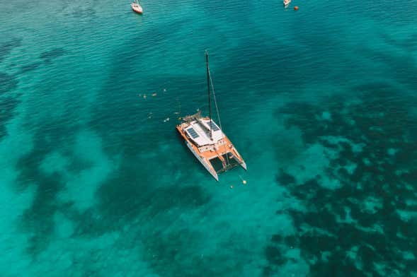 Paseo en catamarán por las islas del Rosario + Almuerzo y snorkel
