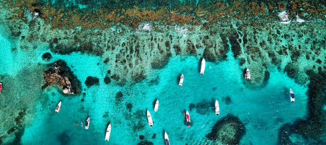 Excursión a Bora Bora Beach, Islabela y Pao Pao Beach