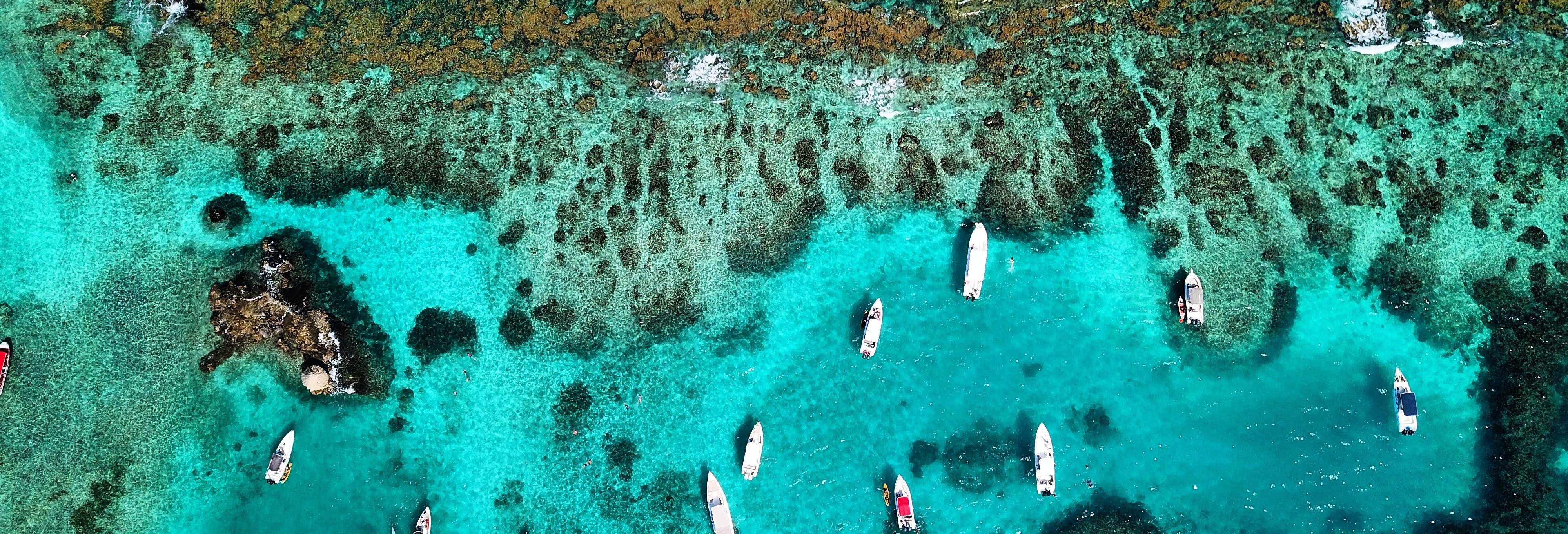 Day Trips from Cartagena de Indias