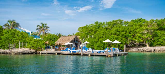 Excursão à Ilha Coralina