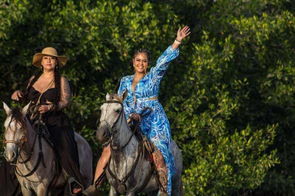 Excursión privada a una finca de caballos de Paso Fino