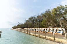 Excursão à ilha Corona