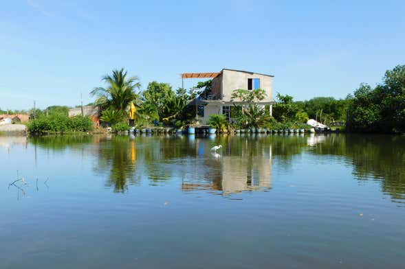 Totumo Volcano and Cartagena Mangroves Tour