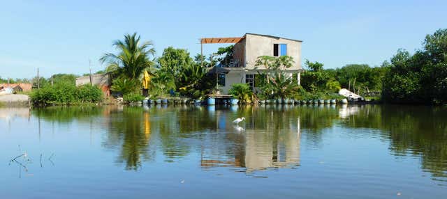 Totumo Volcano and Cartagena Mangroves Tour