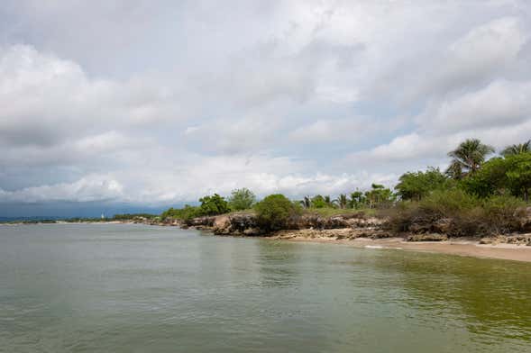 Excursão ao Palmarito Beach