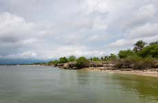 Excursão ao Palmarito Beach