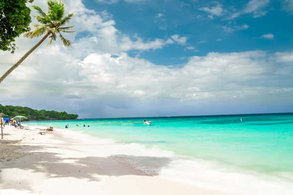 Excursion à Playa Blanca