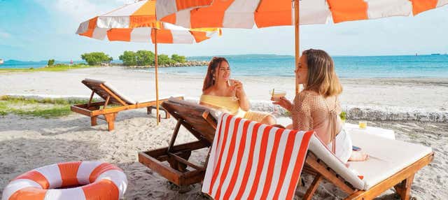 Tierra Bomba Day Trip