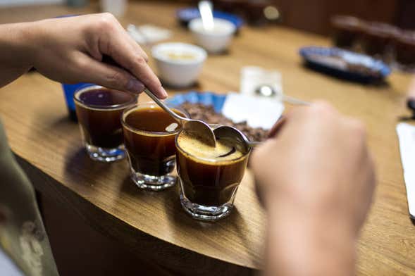 Cartagena: Coffee & Tobacco Free Walking Tour