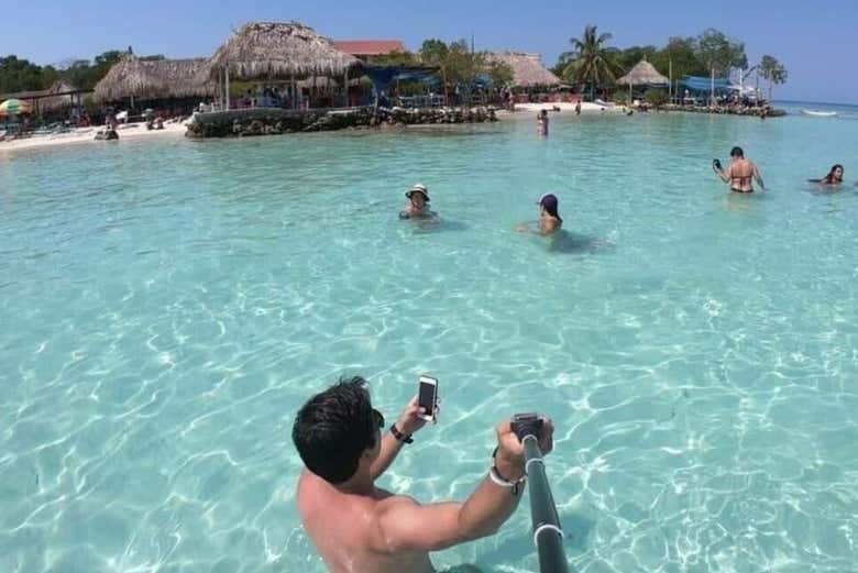 Durante la actividad 