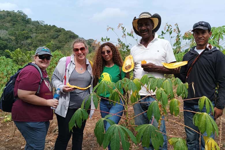 Learn about local agriculture