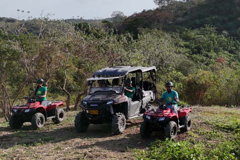 Explore the surrounding landscapes