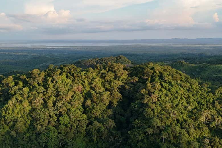 Welcome to the Fundación Loros!