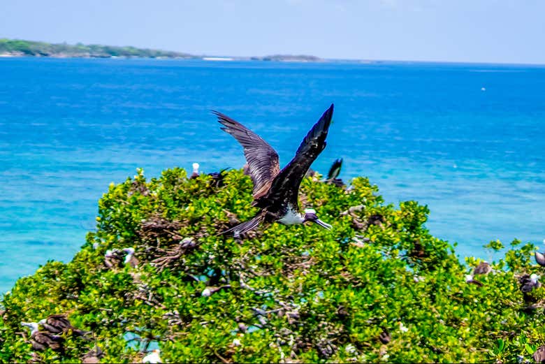Un lugar lleno de flora y fauna única