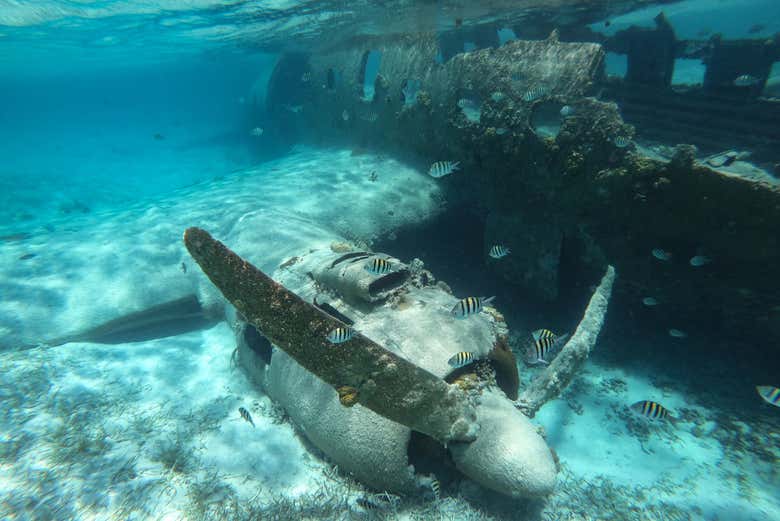 Un avión sumergido