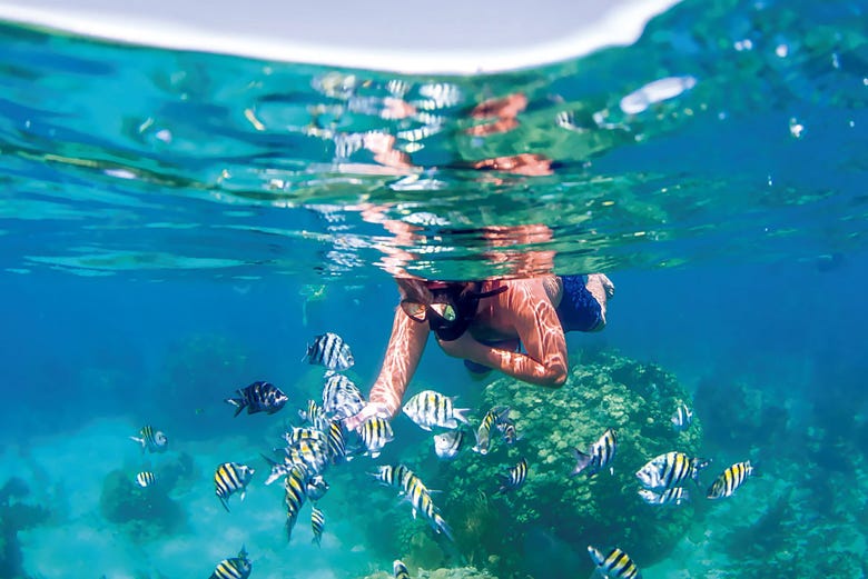 Snorkeling ai Caraibi
