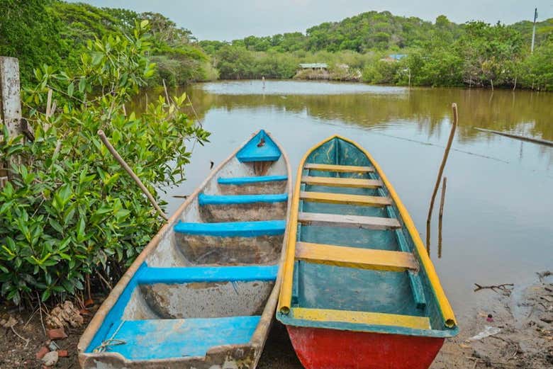 Embarcations prêtes à naviguer