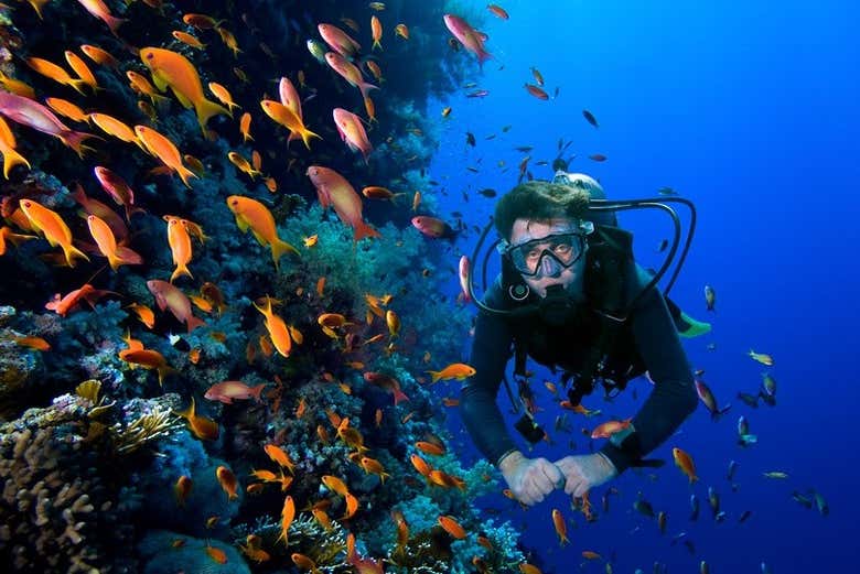 Scuba diving in Cartagena de Indias