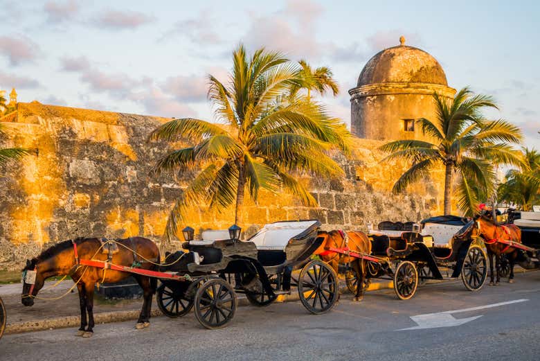 Charrete puxada por cavalos em Cartagena